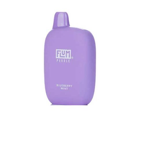 Blueberry Mint Flavored Flum Pebble 6000 Disposable Vape Device giving 6000 Puffs | thesmokeplug.com - 1PC