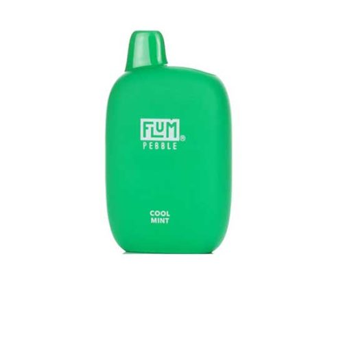 Cool Mint Flavored Flum Pebble 6000 Disposable Vape Device giving 6000 Puffs | thesmokeplug.com - 1PC